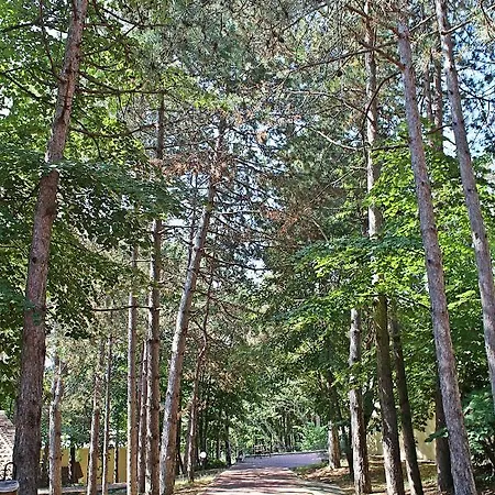 Duni Village Complex