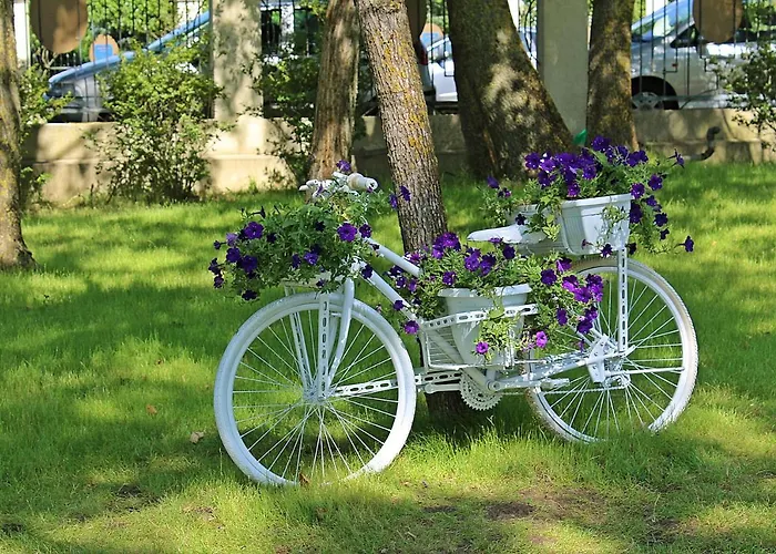 リゾート Duni Village ソゾポル