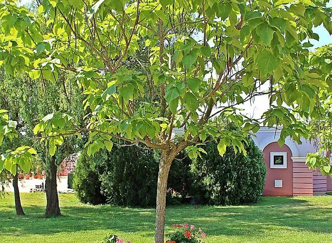 Duni Village 4* ソゾポル