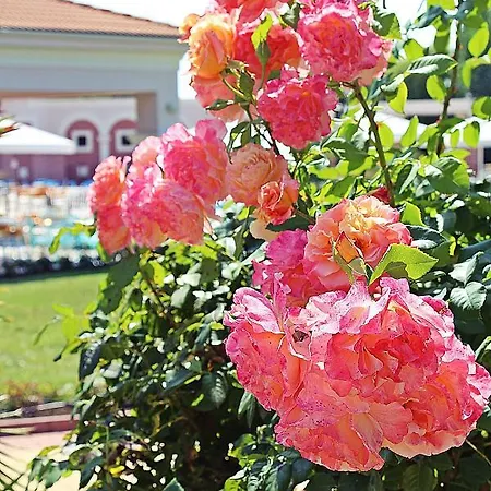 Station touristique Duni Village 4*