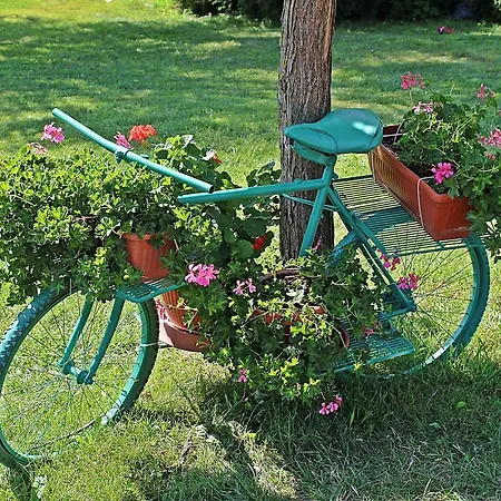 Duni Village منتجع